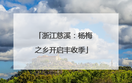 浙江慈溪：杨梅之乡开启丰收季